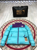 The North Face Cyan Nuptse 700-Fill Down Jacket with Purple Interior